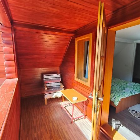 Family&Friends Apartment Ceahlau Bagian luar foto